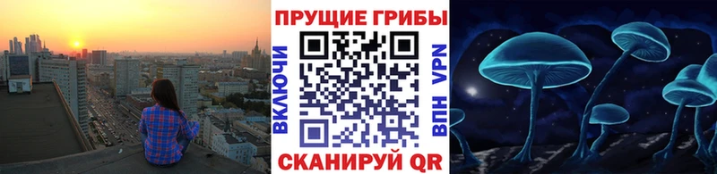 где продают   Отрадное  Псилоцибиновые грибы мухоморы 
